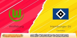 Soi kèo Wolfsburg vs Hamburger, 21h30 ngày 7/3 – Bundesliga